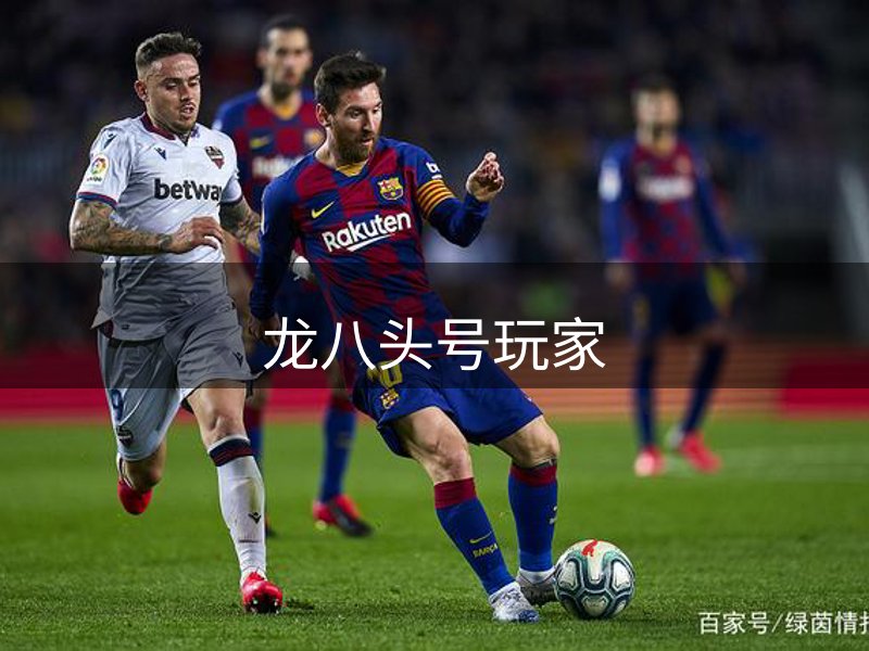 关于本站